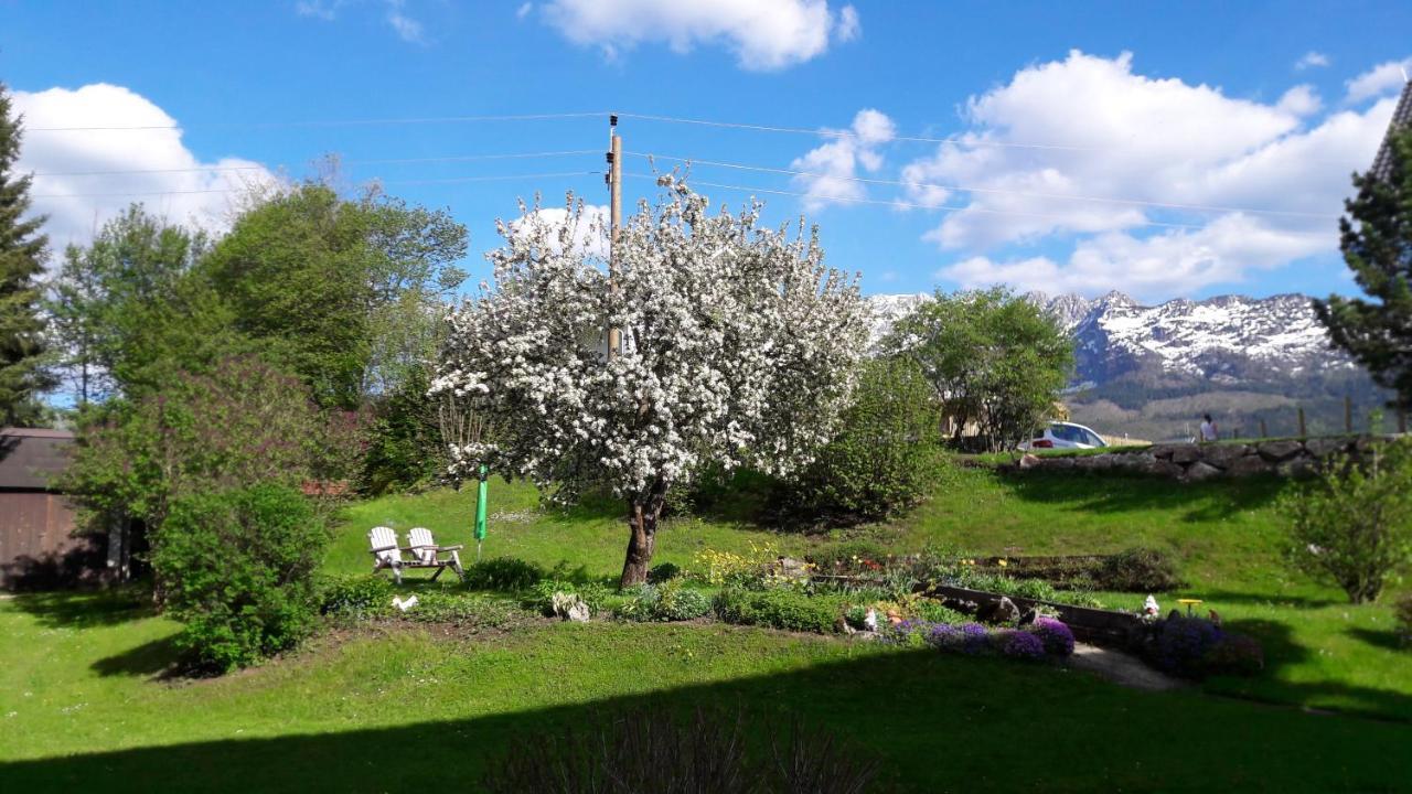 Appartementhaus Theresia Bad Mitterndorf Eksteriør billede